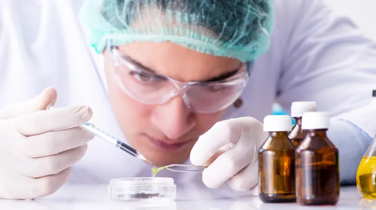 Novo oružje protiv covida? Kod ove su životinje otkrivena antitijela za neutraliziranje koronavirusa