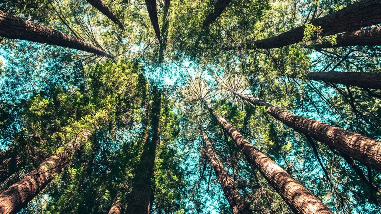 Mastercard pokreće laboratorij za inovacije u području održivog razvoja