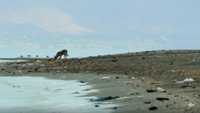 VIDEO Jezero se su&scaron;i zbog globalnog zatopljenja, nema mu spasa: U njemu otkrivene i nove grobnice