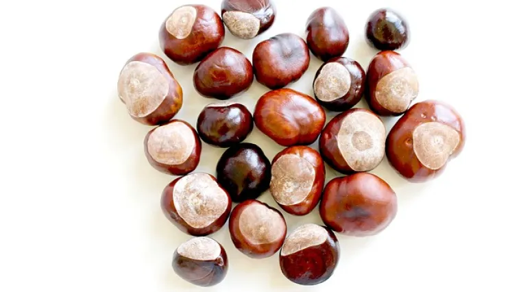 Najpopularniji i najjednostavniji način pripreme kestena