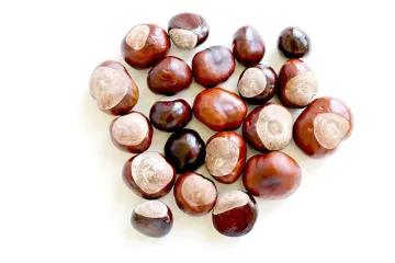 Najpopularniji i najjednostavniji način pripreme kestena