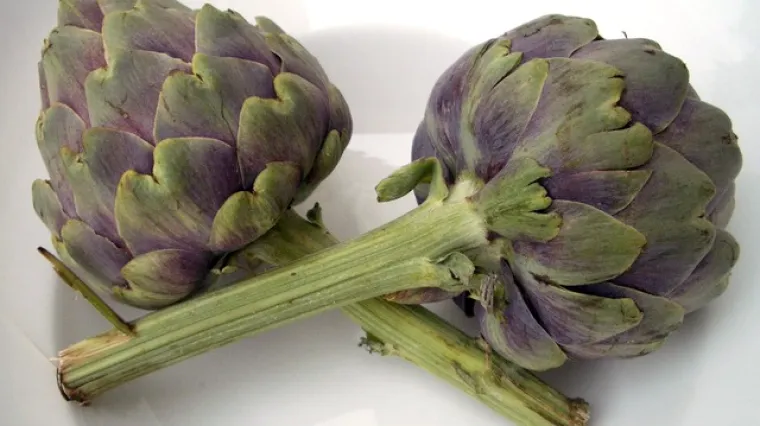 Konzerviranje artičoka - jednostavno i brzo spremite artičoke u staklenke