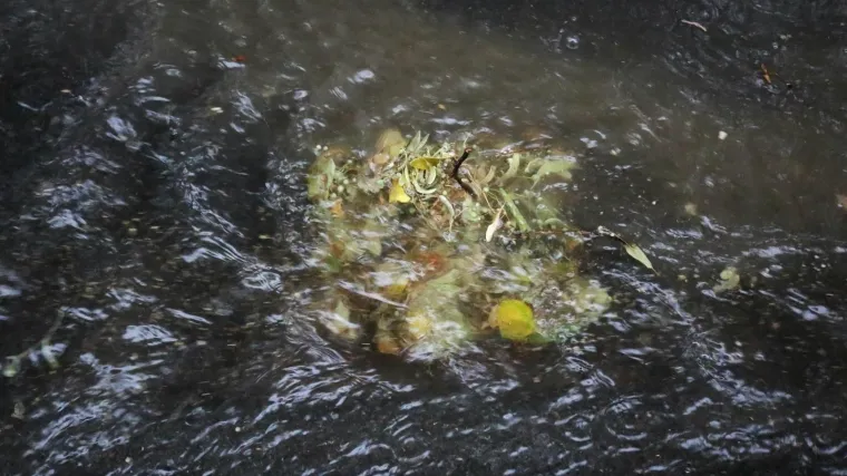 Stiže promjena: Bit će ki&scaron;e, a moguća je i grmljavina. Ali, to je tek prvi ki&scaron;ni val ovaj tjedan. I to onaj slabiji...