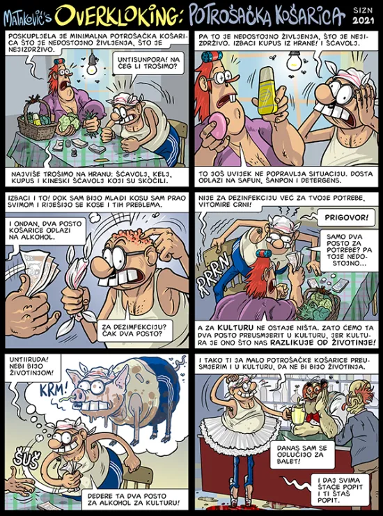 Potro&scaron;ačka ko&scaron;arica