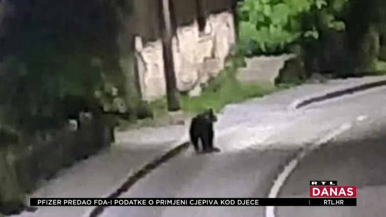 Stanovnici Vrbovskog i okolice posljednjih nekoliko dana muku muče s medvjedima koji se približavaju kućama