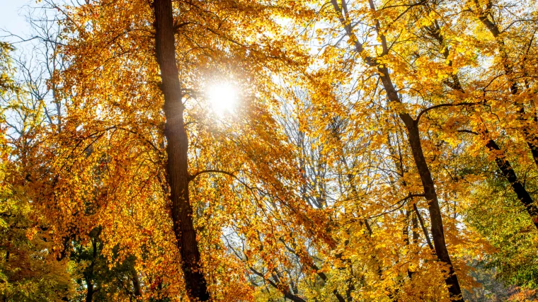 Stiže nam jesensko vrijeme: Vikend je idealan za provesti na otvorenom, a zatim slijedi promjena