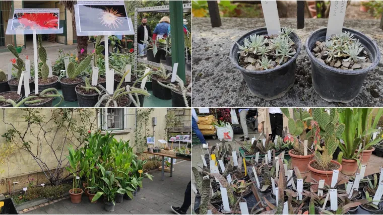 Pozama&scaron;ne kazne za branje Velebitske degenije: Idu i do 30.000 kuna, a mi smo danas nabavili jednu legalno. Evo i kako