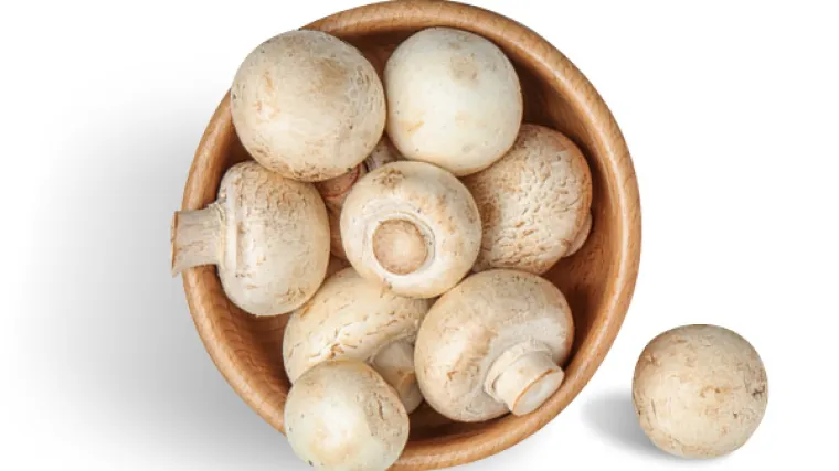 Smiju li se podgrijavati gljive?