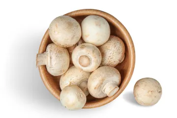 Smiju li se podgrijavati gljive?