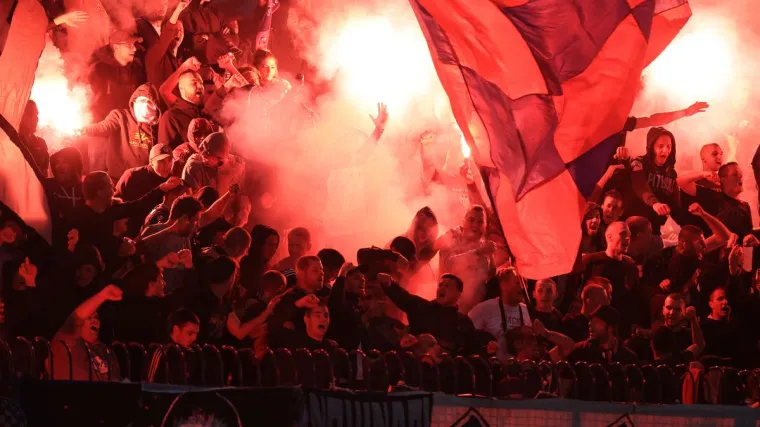 Ovo niste mogli vidjeti u prijenosu: 'Jel' ova stoka mora ostati ovdje ili...'