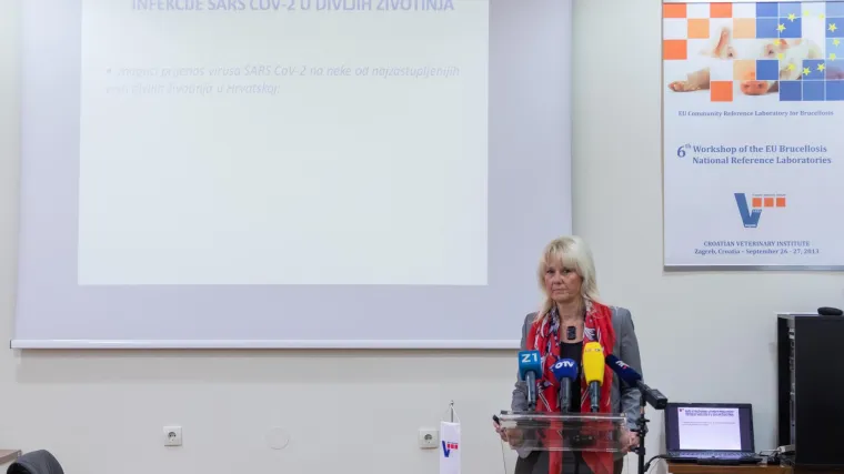 U Hrvatskoj covid-19 nije utvrđen kod divljih životinja, ali jest u otpadnim vodama