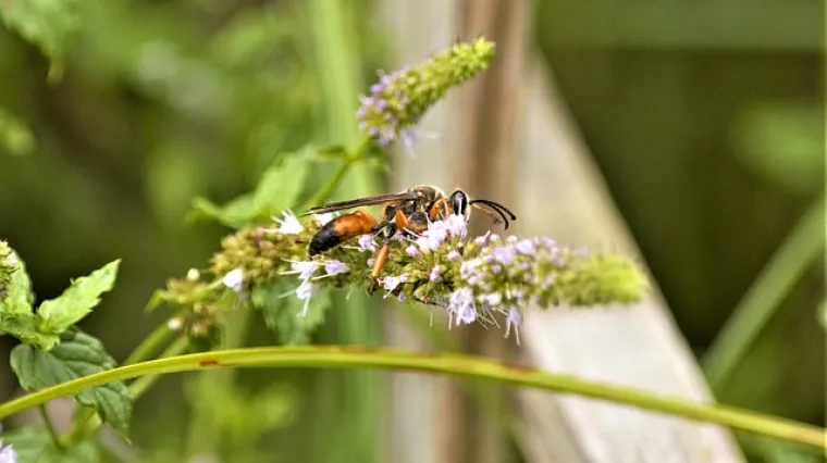 Praktične metode kako se rije&scaron;iti str&scaron;ljena