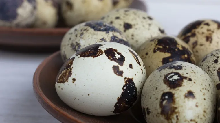 Kako izgleda priprema jaja od prepelice?