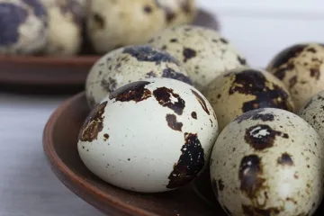 Kako izgleda priprema jaja od prepelice?