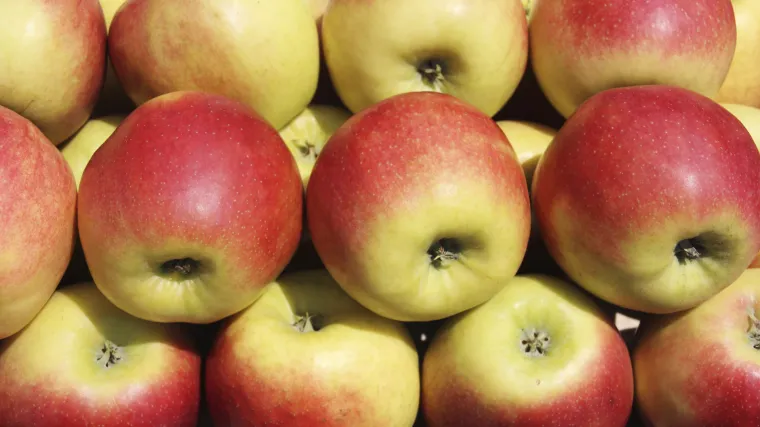 Provjerite imate li ih! U jabukama podrijetlom iz Hrvatske pronađena povećana količina pesticida. Rizik je ozbiljan