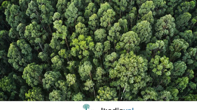 Uključite se u najveću nacionalnu kampanju sadnje stabala u Hrvatskoj &bdquo;Zasadi stablo, ne budi panj!&ldquo;