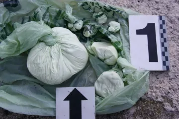 Krim policajci u pretresu kuće u Župi na&scaron;li drogu