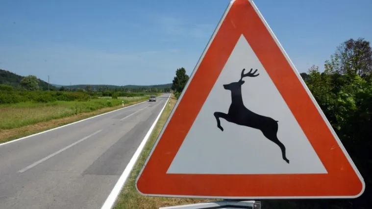 Hrvatska inovacija: Proizveden uređaj koji sprječava izlijetanje divljači pred vozila