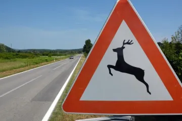 Hrvatska inovacija: Proizveden uređaj koji sprječava izlijetanje divljači pred vozila