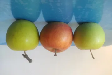 Popis namirnica bogatih vlakinima