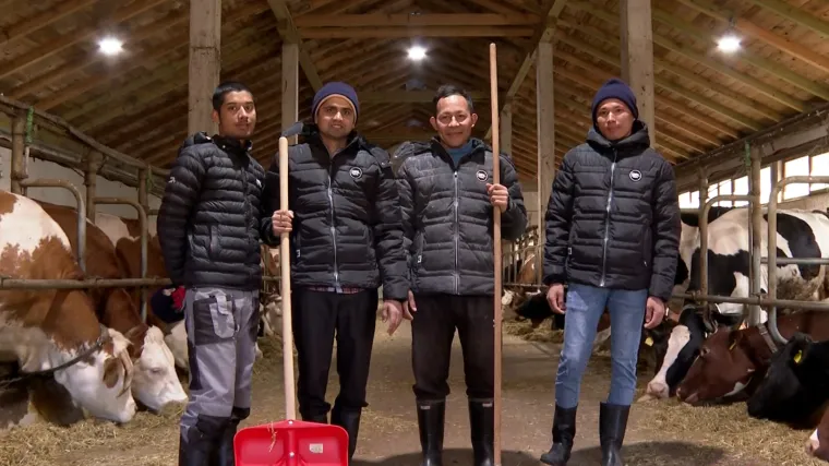 Bili smo na farmi krava u Ba&scaron;kim O&scaron;tarijama, gdje rade Nepalci: Hrana, smje&scaron;taj i plaća od 6000 kuna Hrvatima nisu bili zanimljivi