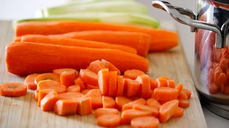 Popis hrane koja se može zamrznuti