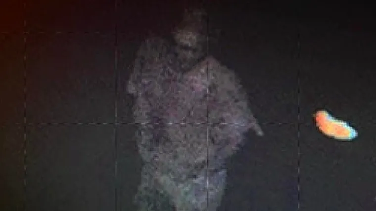 Je li ovo najjezivija fotografija godine? 'Udovi izgledaju čudno, lice unakaženo, žao mi je što sam toj figuri išao pogledati oči'