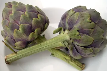 Zamrzavanje artičoka - kako pravilno zamrznuti artičoke?