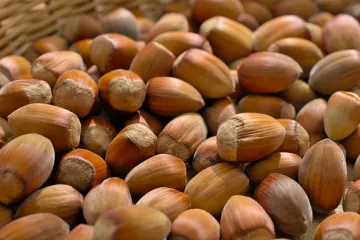 Lje&scaron;njaci se mogu pržiti i u mikrovalnoj pećnici, znate li kako?