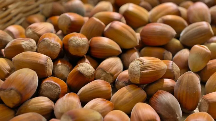 Jednostavan i brz postupak prženja lje&scaron;njaka na tavi