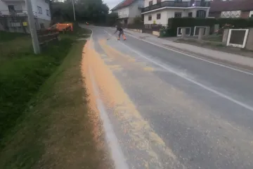 Kukuruz na križevačkim cestama