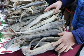 Usoljeni bakalar: Što je i kako pripremiti usoljeni bakalar