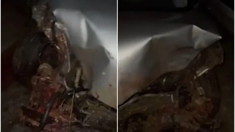 Detalji sudara auta i stada na Krku: 'Po cesti pluća, crijeva... Nije da udarite ovcu, pa je mrtva. Bile su zdrobljene'