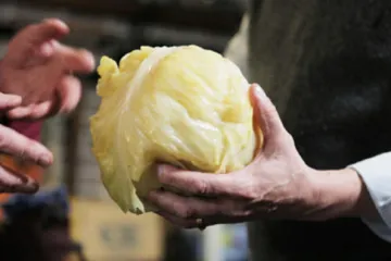 Kiseli kupus: Kako na brzinu ukiseliti kupus