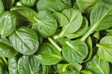 Kako najjednostavnije blanširati špinat?