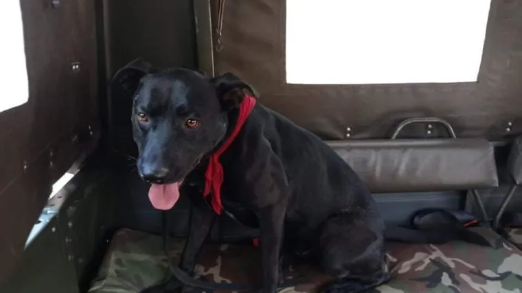 Odmor na Braču pretvorio mu se u noćnu moru: 'Iznenada sam čuo pucanj. Tražio sam ga nekoliko sati, ali od Mareka ni traga'