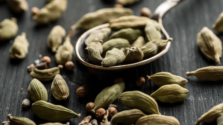 Začin kardamom: Što je začin kardamom i kako se koristi u kuhinji
