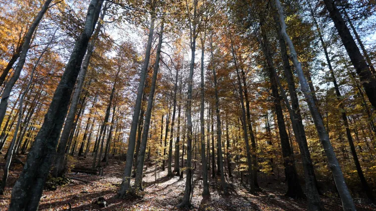 Anticiklona popu&scaron;ta, slijede oblaci i ki&scaron;a, ali ne zadugo: Evo kad nam se vraća sunčano vrijeme