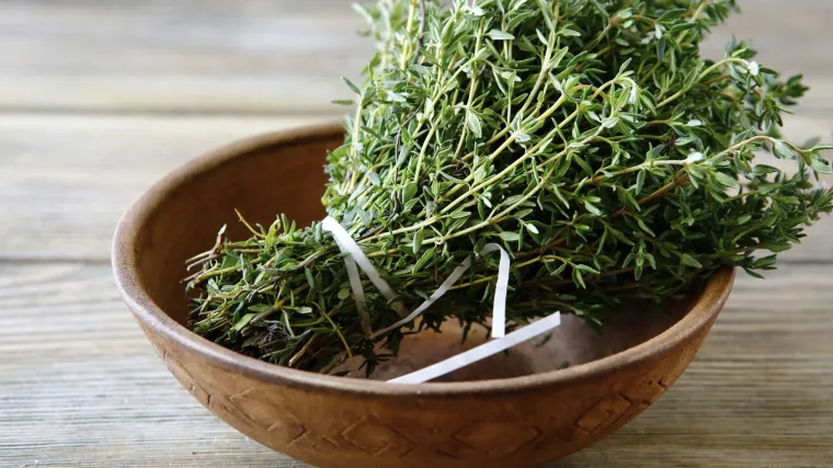 Majčina du&scaron;ica: &Scaron;to je majčina du&scaron;ica začin i kako se koristi u kuhinji