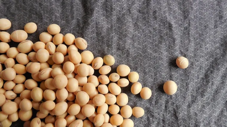 Kako napraviti soja sos - recept za pripremu soja sosa