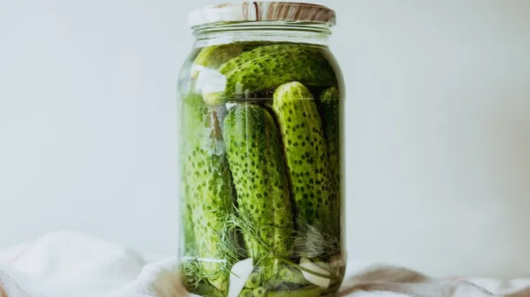 &Scaron;to je fermentacija? Za&scaron;to se koristi fermentacija?