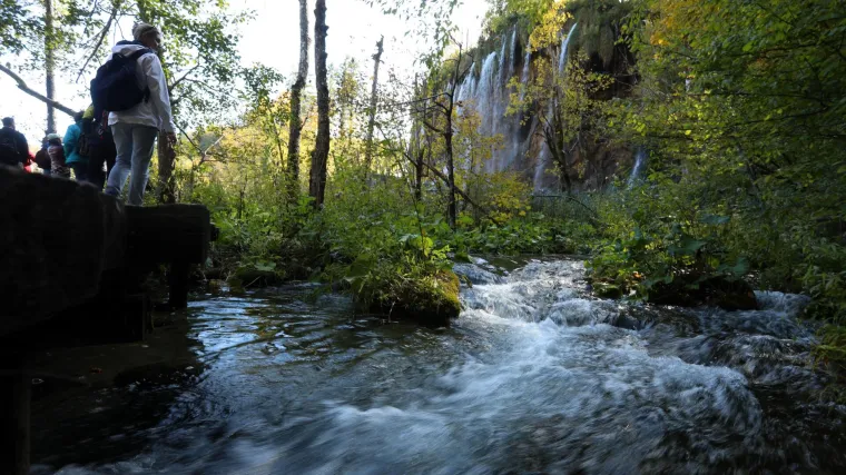 Veliko otkriće: Plitvice imaju 4. najsnažnije &scaron;ume u svijetu po upijanju CO2, a 5. mjesto uključuje i Velebit