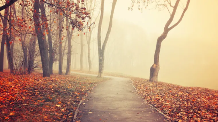 Prate nas stabilne, osobito za vikenda i maglovite prilike s kojima ćemo se oprostiti od listopada: &Scaron;to nas očekuje u studenom?