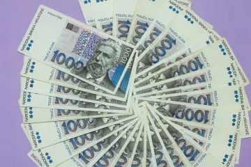 Otkrivena još jedna hrvatska tvrtka s milijunskim prihodima, ali bez zaposlenih, imovine, ureda: Ima i jedan znakovit detalj