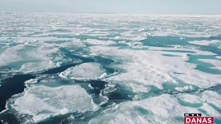 Većina obećava da od 2030. vi&scaron;e neće sjeći &scaron;ume. A dok je snimljen ovaj prilog, ogolili povr&scaron;inu 150 nogometnih terena