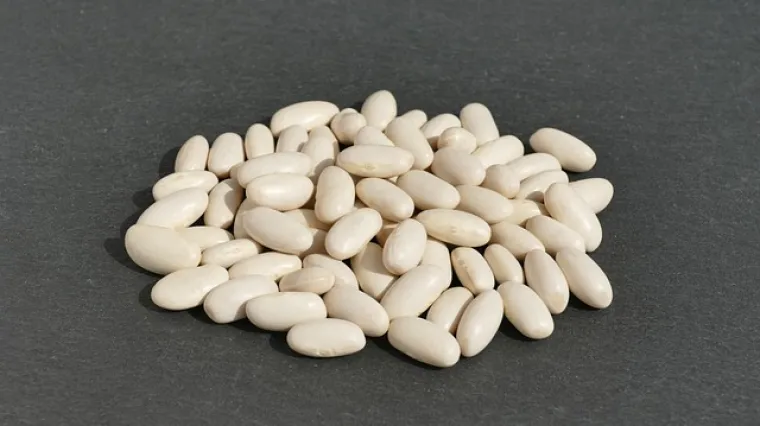 Kako i koliko kuhati grah za salatu?