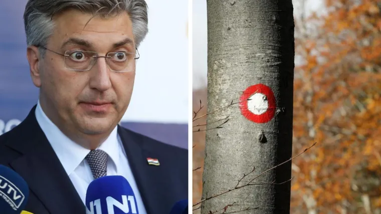 'Plenkovićeva najava iz Glasgowa o sadnji milijun stabala vi&scaron;e, samo je simbolična', kaže struka