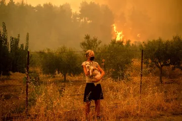 Ekstremne vrućine uništavaju hranu, šume i ljude, a bit će i gore. Uzrok nam je svima dobro poznat