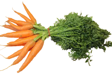 Kako napraviti sok od mrkve i jabuke za zimu?