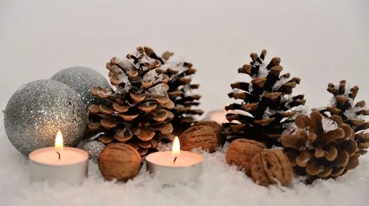 Kako otvoriti češere i iskoristiti ih za božićnu dekoraciju